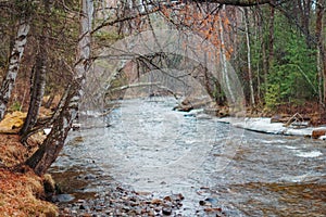 Spring river freed from ice spring trees