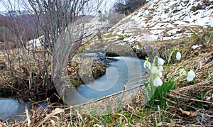 Spring river on the mounatin
