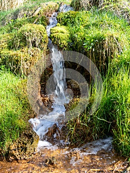 Spring river waterfall,  stones, green moss and spring trees, David`s sources, Latvia