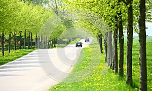 Spring road