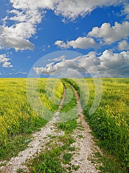 Spring road path grass green naturegreen meadow  road  through the grass blue srping cloudy sky