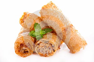 Spring roll