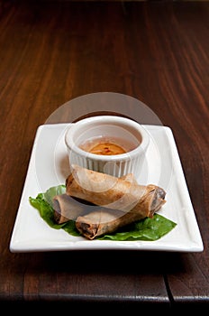 Spring roll appetizer