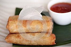 Spring roll asian food