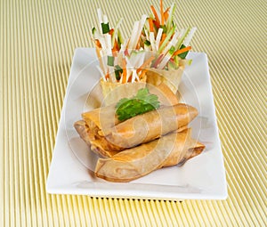 Spring Roll on background