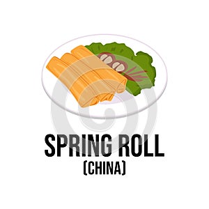 Spring Roll Chinese food. Asian traditional food elements in cartoon flat style isolated on white background