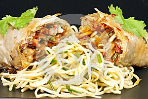 Spring Roll and Noodles