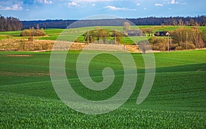 Spring Rolling Green Hills With Fields Of wheat and village