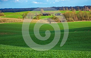 Spring Rolling Green Hills With Fields Of Wheat and village