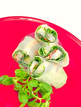 Spring rolls