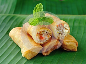 Spring rolls food