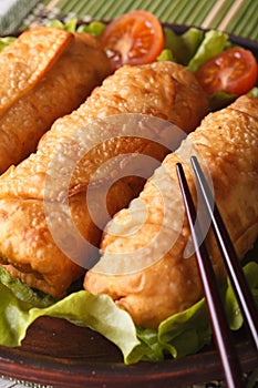 Spring rolls fried on a plate macro with lettuce and tomatoes