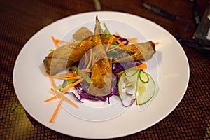 Spring rolls with salad