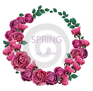Spring Roses Flower wreath Vector realistic illustration. Fucsia color floral frame decors photo
