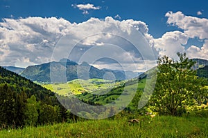 Spring rural landscape with blue sky with white clouds.