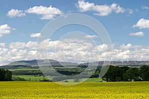 Spring rural landscapes