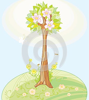 Spring's tree