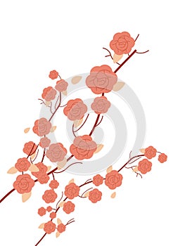 spring sakura cherry blooming flowers bouquet pink petals blossom branches leaves isolated on white background