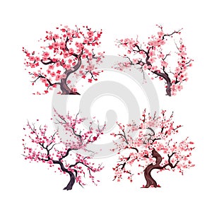 Spring sakura cherry blooming flowers bouquet set vector