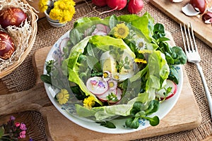 Spring salad with eggs and wild edible plants