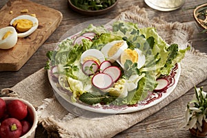 Spring salad with eggs and wild edible plants - chickweed, nipplewort and yarrow