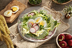 Spring salad with eggs and wild edible plants - chickweed, nipplewort and yarrow