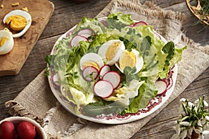 Spring salad with eggs and wild edible plants - nipplewort, chickweed, young yarrow