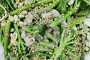 Spring salad of fresh broccolini and beans