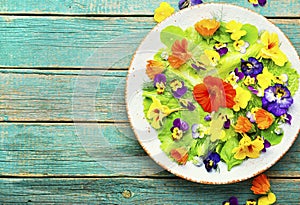 Spring salad with greens and edible flowers