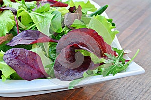 Frühling Salat aus gemischt Gemüse detailliert 