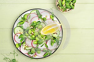 Spring salad plate with radish, cucumber, green pea, sunflower, soy and mung bean sprouts, edamame and flax seeds. Vegetarian