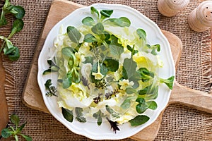 Spring salad with primula, nipplewort and other wild edible plan