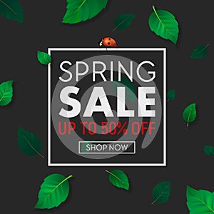 Spring sale background banner with frame, beautiful green leaves and ladybug. Design template for online store, flyer