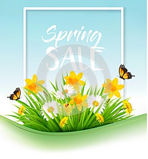 Spring sale background with grass, flowers and a butterfly