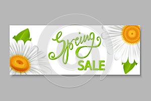 Spring sale banner, with chamomiles