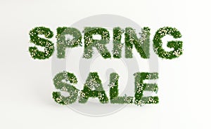 Spring sale banner concept, letters made of grass and daisies, isolated on white background, mock-up