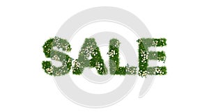 Spring sale banner concept, letters made of grass and daisies, isolated on white background, mock-up