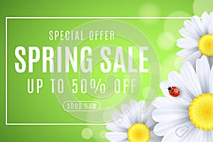 Spring sale banner. Ladybug creeps on the flowers of daisies. Seasonal design for your business. Water drops. Lights bokeh. Frame