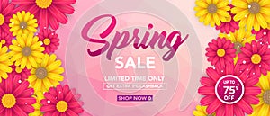 Spring sale banner template with beautiful colorful flower on pink background, for shopping sale. banner design. Poster, card, web