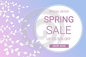 Spring sale banner with white branches on blue and pink gradient background. Template for flyer, voucher, brochure and