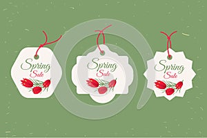 Spring sale banners poster tag design, voucher template. Big set. Floral frame for text, isolated on white background