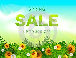 Spring Sale collection. Vector background with sun, chamomile, grass and ribbon. Text design