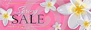 Spring Sale Horizontal Banner, header for website, online store. Sale Poster, Sale Flyer, Sale Vector. discount, vector