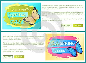 Spring Sale Poster Discount Color Butterflies Web