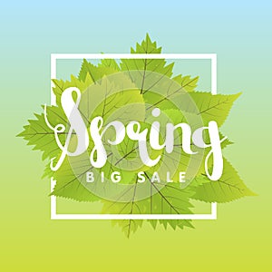 Spring Sale Poster With Green Leaf. Vector banner Template Illustration