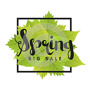 Spring Sale Poster With Green Leaf. Vector banner Template Illustration