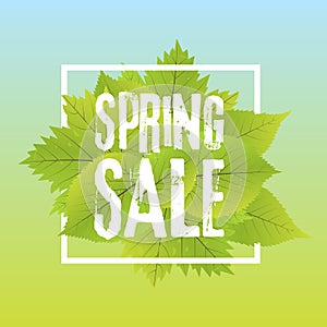 Spring Sale Poster With Green Leaf. Vector banner Template Illustration