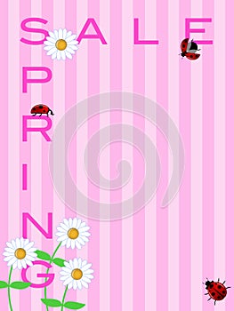 Spring Sale Sign with Daisies Flowers and Ladybugs