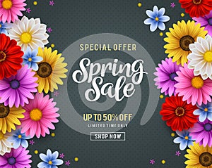 Spring sale and special offer vector banner background with colorful chrysanthemum and daisy flowers