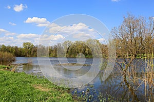 Spring scene on lake